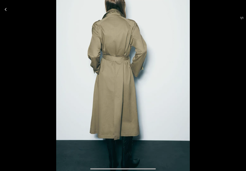 Timeless Trench